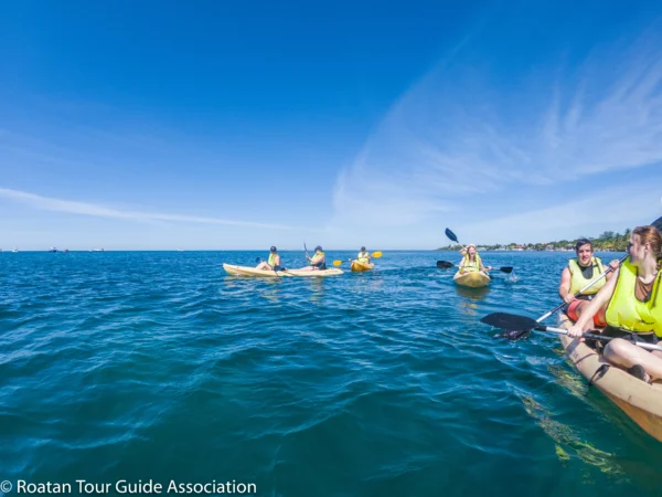 Kayak and Snorkeling at Blue Channel: Aquatic Adventure in Roatan